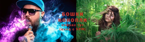 мдпв Горнозаводск