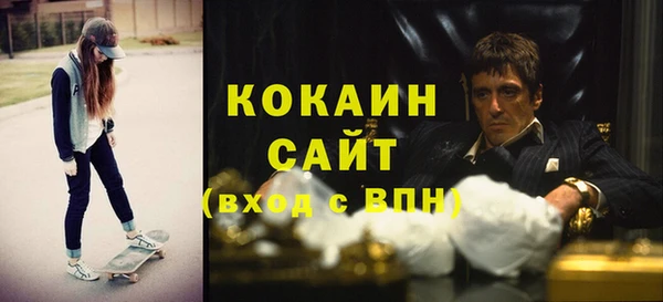 стафф Вязьма