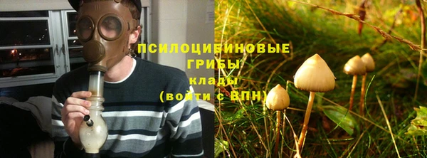 стафф Вязьма