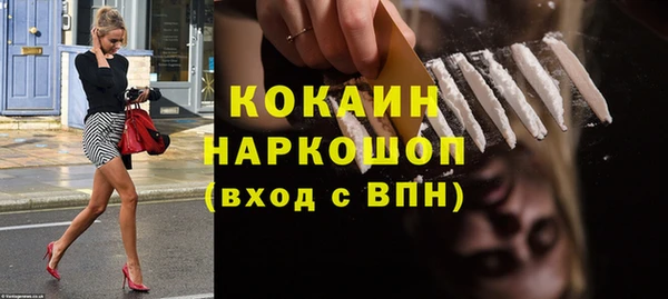 стафф Вязьма