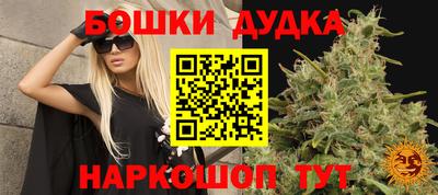 spice Дубна