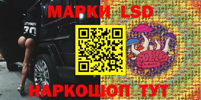 спайс Кандалакша