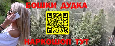 spice Дубна