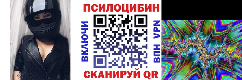 Псилоцибиновые грибы Psilocybe Можайск