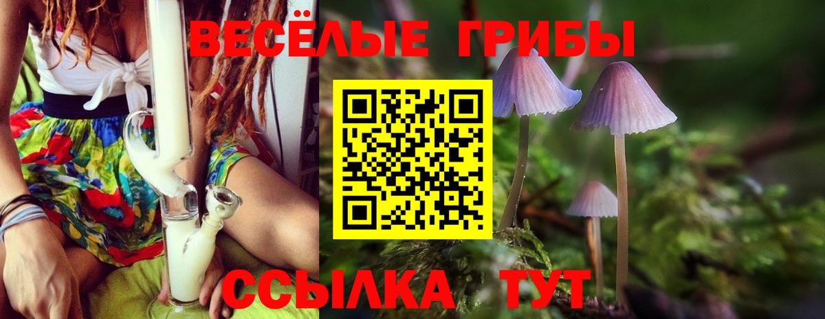 Можайск  Галлюциногенные грибы ЛСД  Галлюциногенные грибы мухоморы  Вход с VPN 
